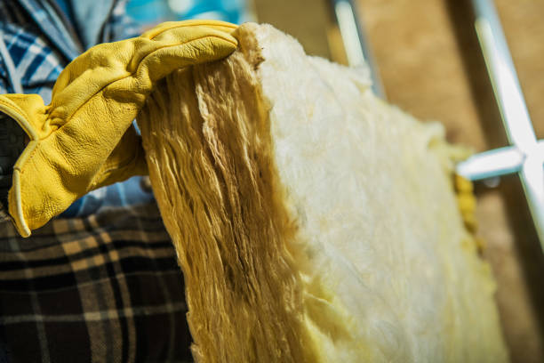 Best Specialty Insulation in Gunter, TX